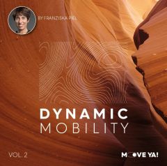 DYNAMIC MOBILITY Vol. 2 - LICENSE
