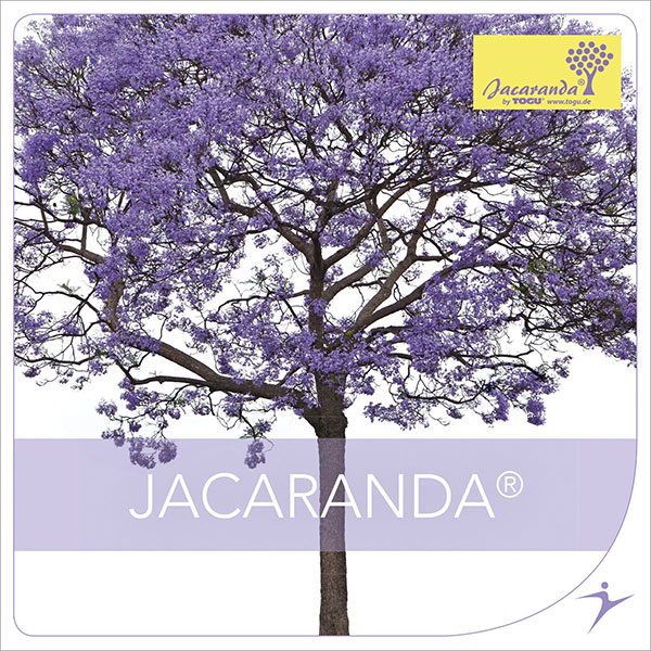 JACARANDA - LICENSE