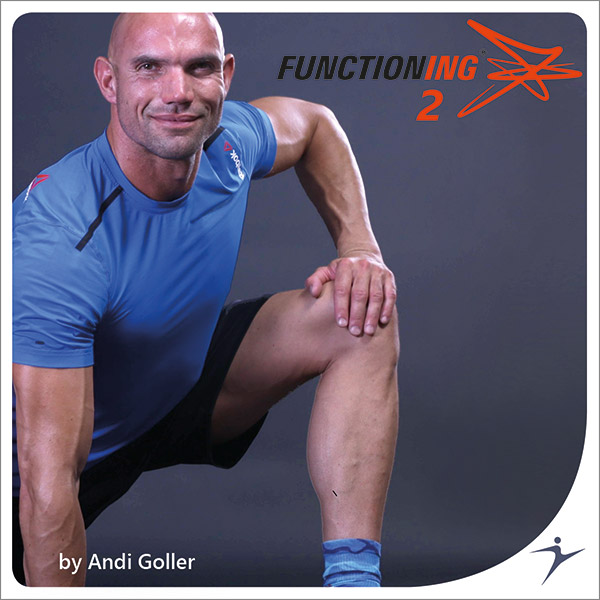 FUNCTIONING 2 - LICENSE