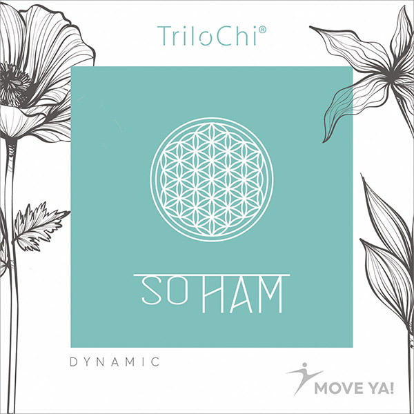 TRILOCHI So Ham - LICENSE