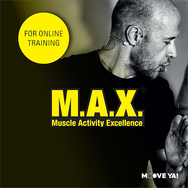 M.A.X. Online Training - LICENSE