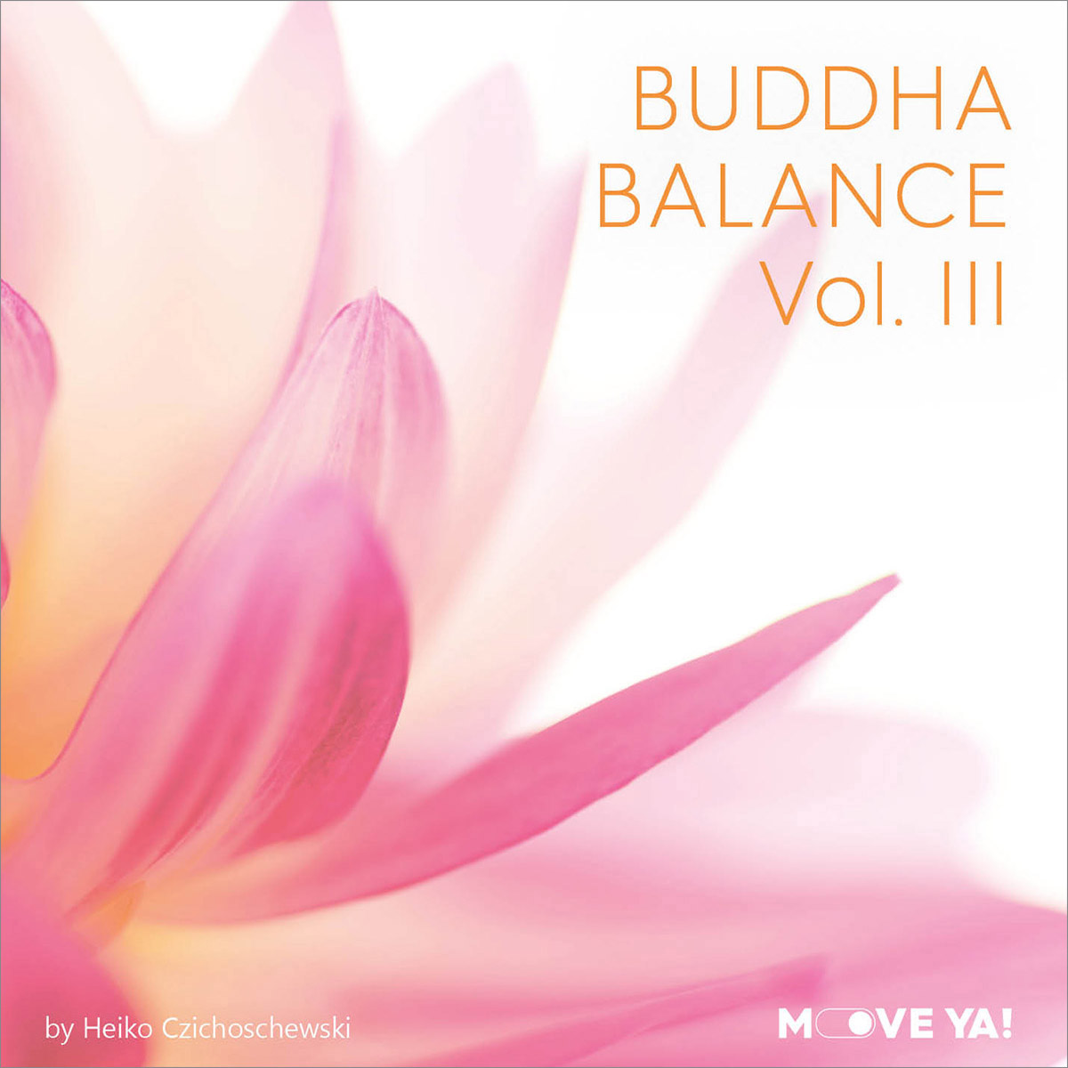 BUDDHA BALANCE Vol. 3 - LICENSE