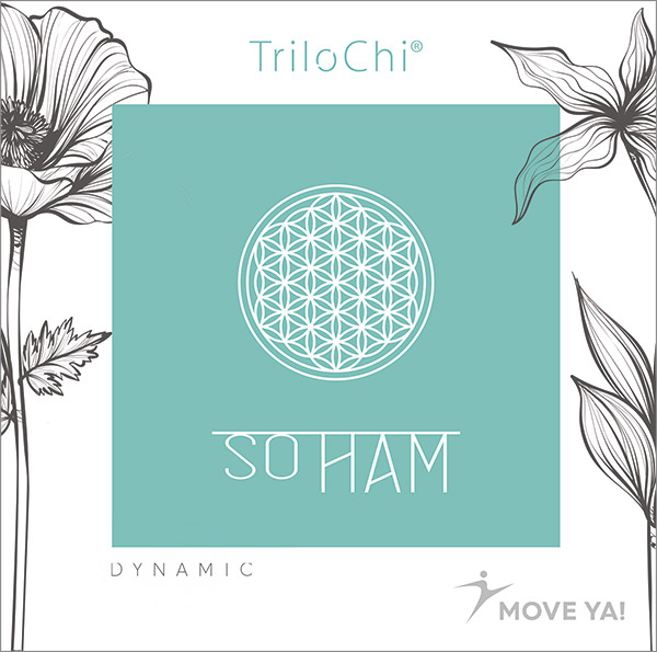 TRILOCHI So Ham - MP3