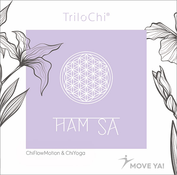 TRILOCHI Ham Sa - MP3