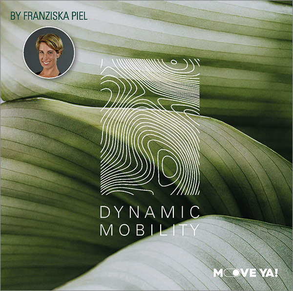 DYNAMIC MOBILITY - MP3