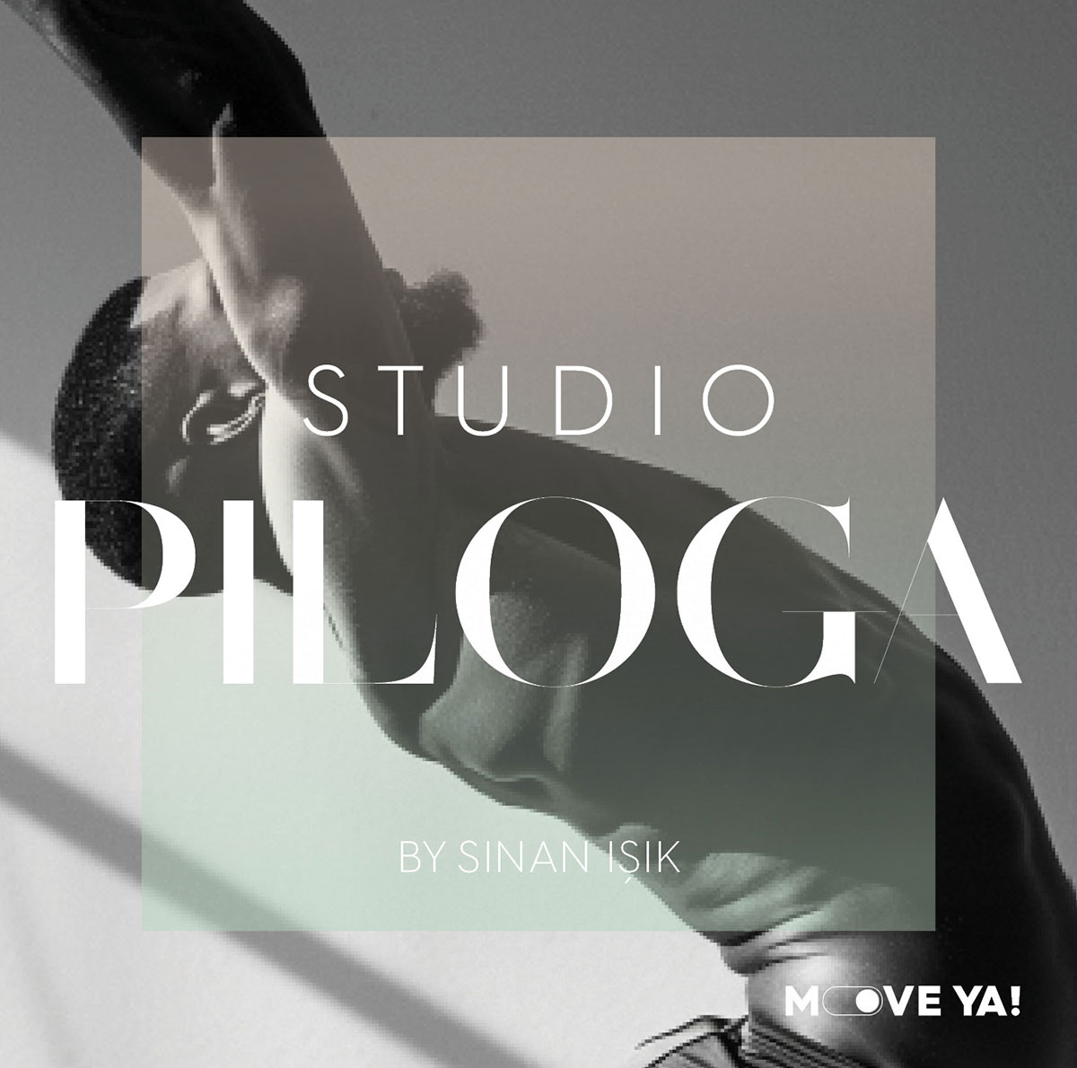 STUDIO PILOGA