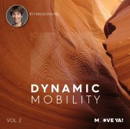 DYNAMIC MOBILITY Vol. 2 - LICENSE