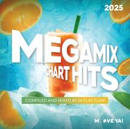 MEGAMIX Chart Hits 2025